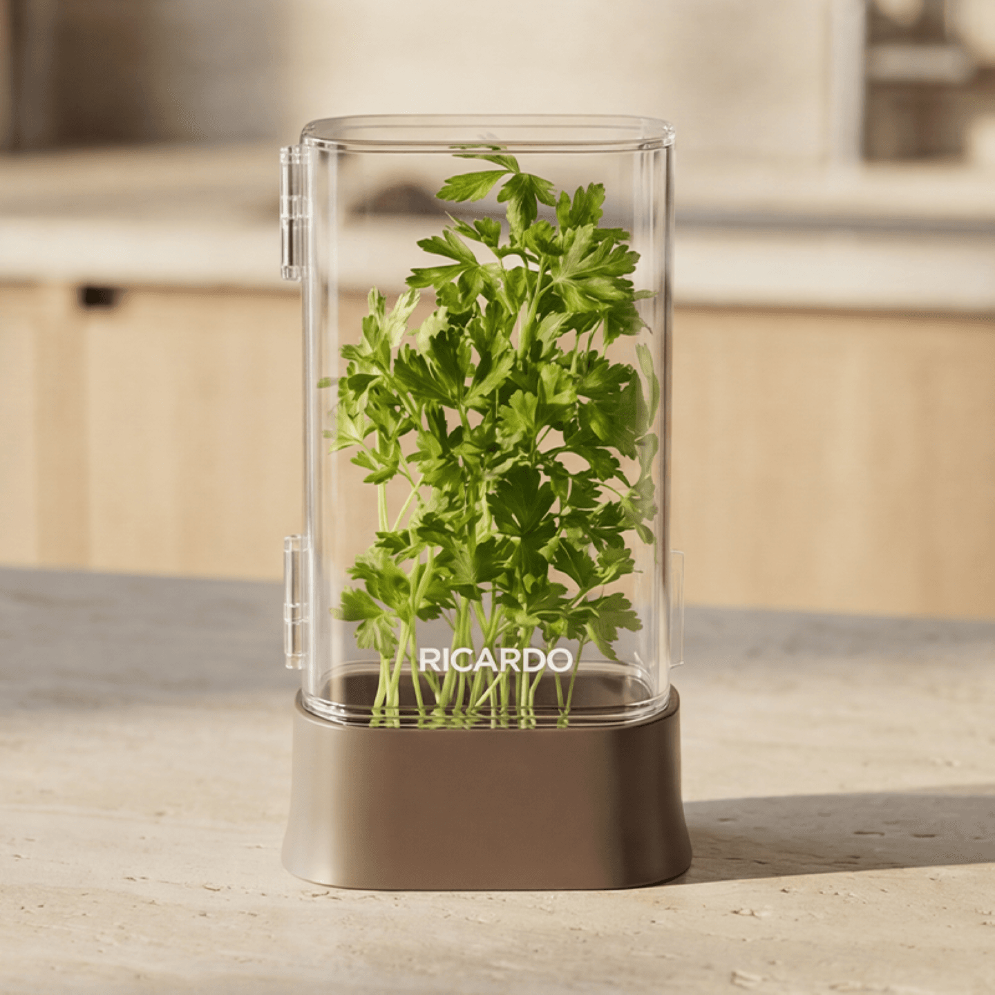 Bannière de défi Conservez la fraîcheur : profitez pleinement de vos fines herbes